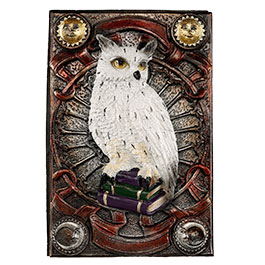 Kleinbild 5 Braune Tarotbox Zaubereule sitzt auf B�cherstapel