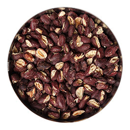 Kleinbild 1 SicherSatt Notration Rote Kidneybohnen vorgekocht 800 g Dose inkl. Deckel zum Wiederverschlie�en