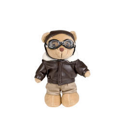 Teddy Pilot