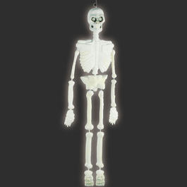 Halloween Deko Skelett 92cm nachleuchtend Bild 1 xxx: