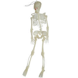 Halloween Deko Skelett 33cm nachleuchtend