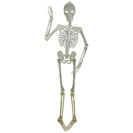 Halloween Deko Skelett 150 cm beweglich, fluoreszierend