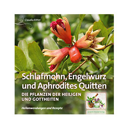 Schlafmohn,Engelwurz und Aphrodites Quitten Pflanzen der heiligen und Gottheiten
