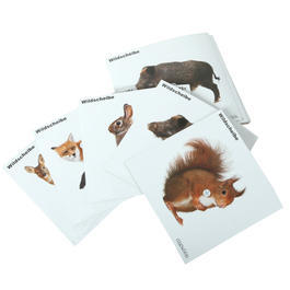 Oakwood Zielscheiben Wildmotive 14 x 13,5 cm 50 Stck
