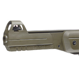 Gamo P-900 Knicklauf-Luftpistole 4,5 mm Diabolo Jungle-Edition inkl. Pistolentasche, Diabolos Bild 9