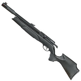 Gamo Arrow Pressluftgewehr PCP Kal. 4,5 mm 10-schssig schwarz