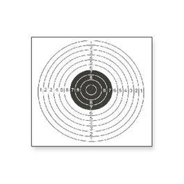 Zielscheiben für Luftdruckwaffen 14x14 cm 100 Stück