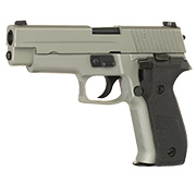 Nuprol Raven R226 Standard Vollmetall GBB 6mm BB grau