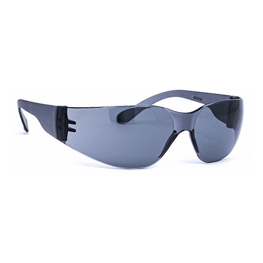 Infield Schutzbrille Nestor PC HC UV400 SUN smoke/grau