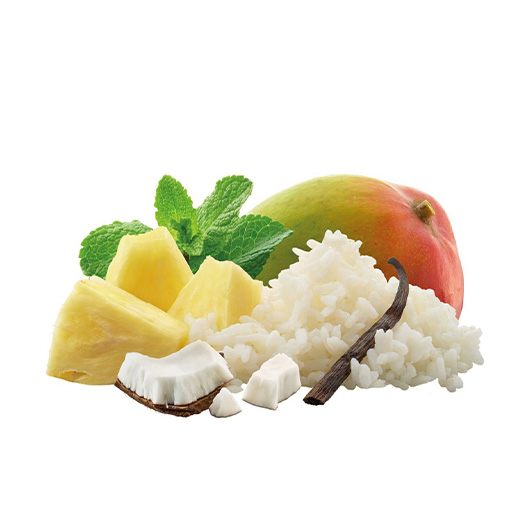 Adventure Food Tropical Rice Dessert Einzelportion 67 g Bild 1