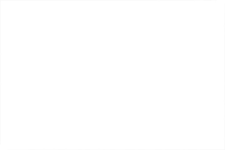 Nuprol Large Hard Case Waffenkoffer / Trolley 109 x 39,5 x 16 cm Waben-Schaumstoff oliv - Velcro Edition Bild 6