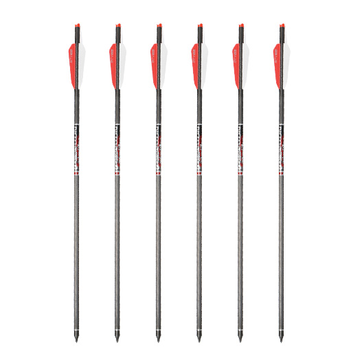 Easton Armbrustpfeil 20 Zoll Bloodline Carbon Bolzen 6 Stck