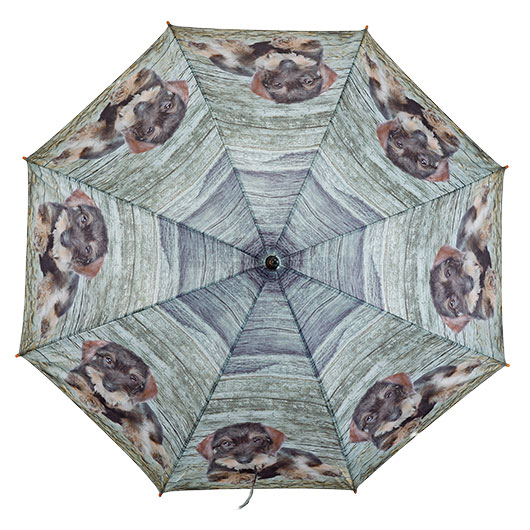 AKAH Regenschirm Rauhaardackel der Gute Laune Regenschirm Bild 2