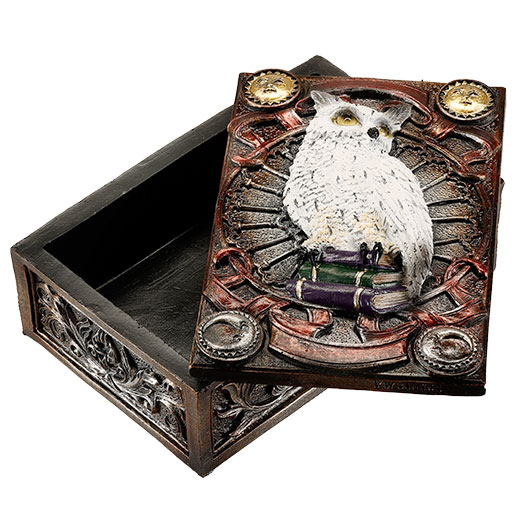 Braune Tarotbox Zaubereule sitzt auf B�cherstapel Bild 1