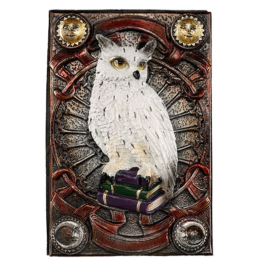 Braune Tarotbox Zaubereule sitzt auf B�cherstapel Bild 5