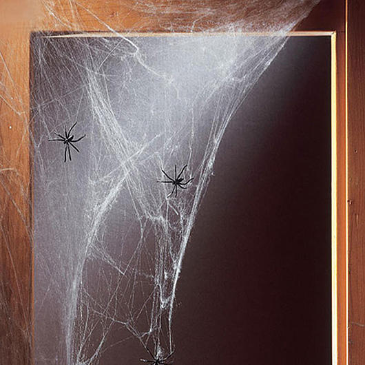 Deko Spinnennetz mit 4 Spinnen Bild 1