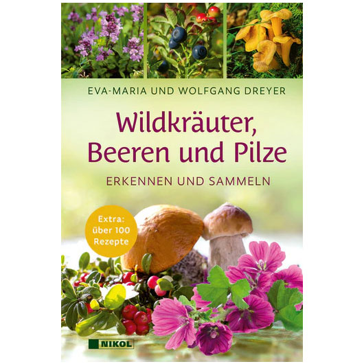 Wildkruter, Beeren und Pilze