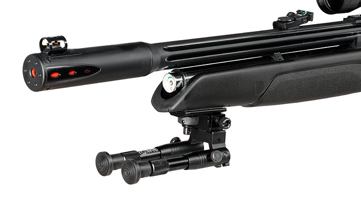 Gamo Arrow Pressluftgewehr PCP Kal. 4,5mm Diabolo 10-schssig schwarz inkl. 10-Schuss Magazin, Zielfernrohr WR 3-9x40 & Zwei Bild 6